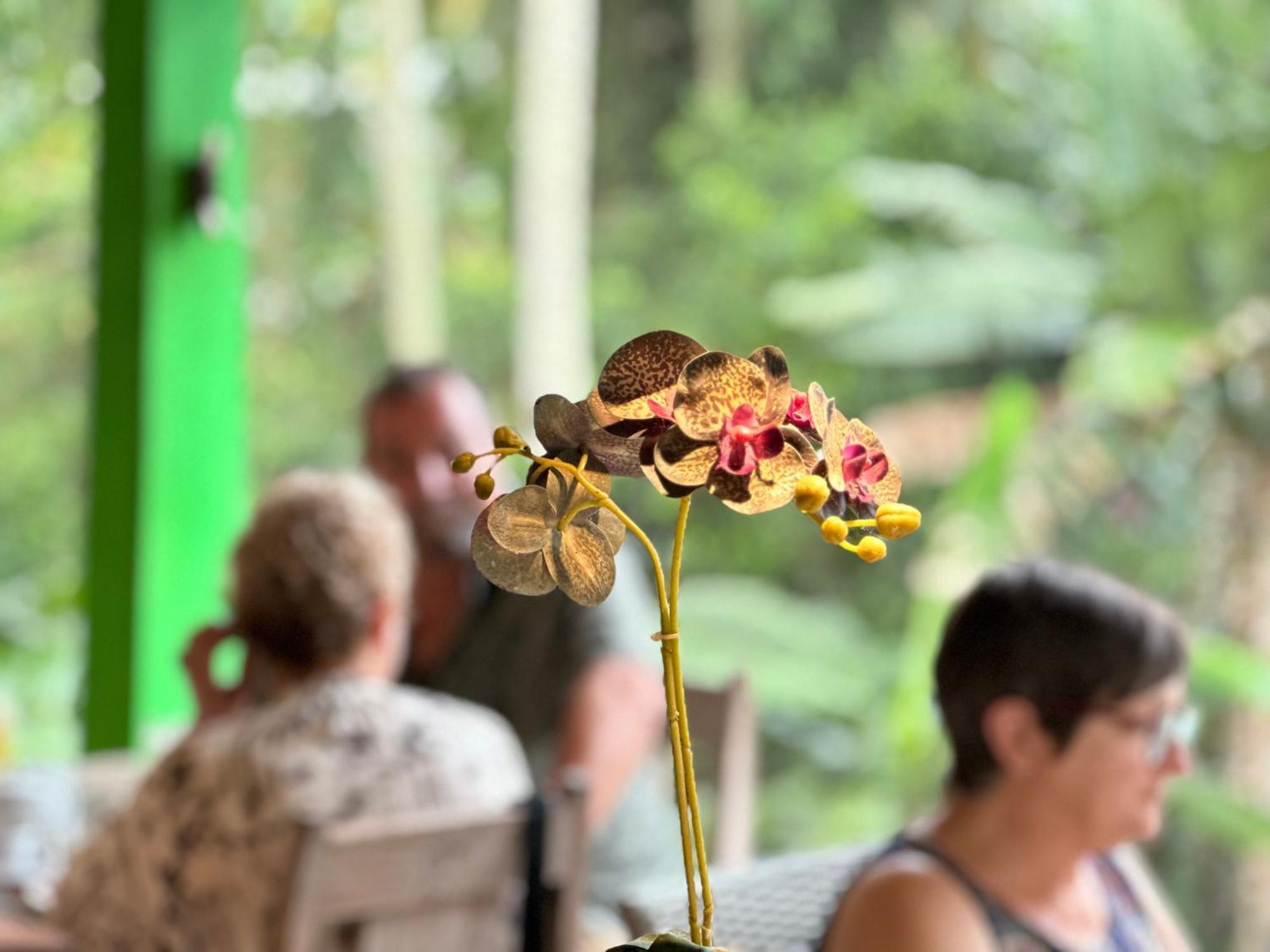Dupa Ubud מראה חיצוני תמונה