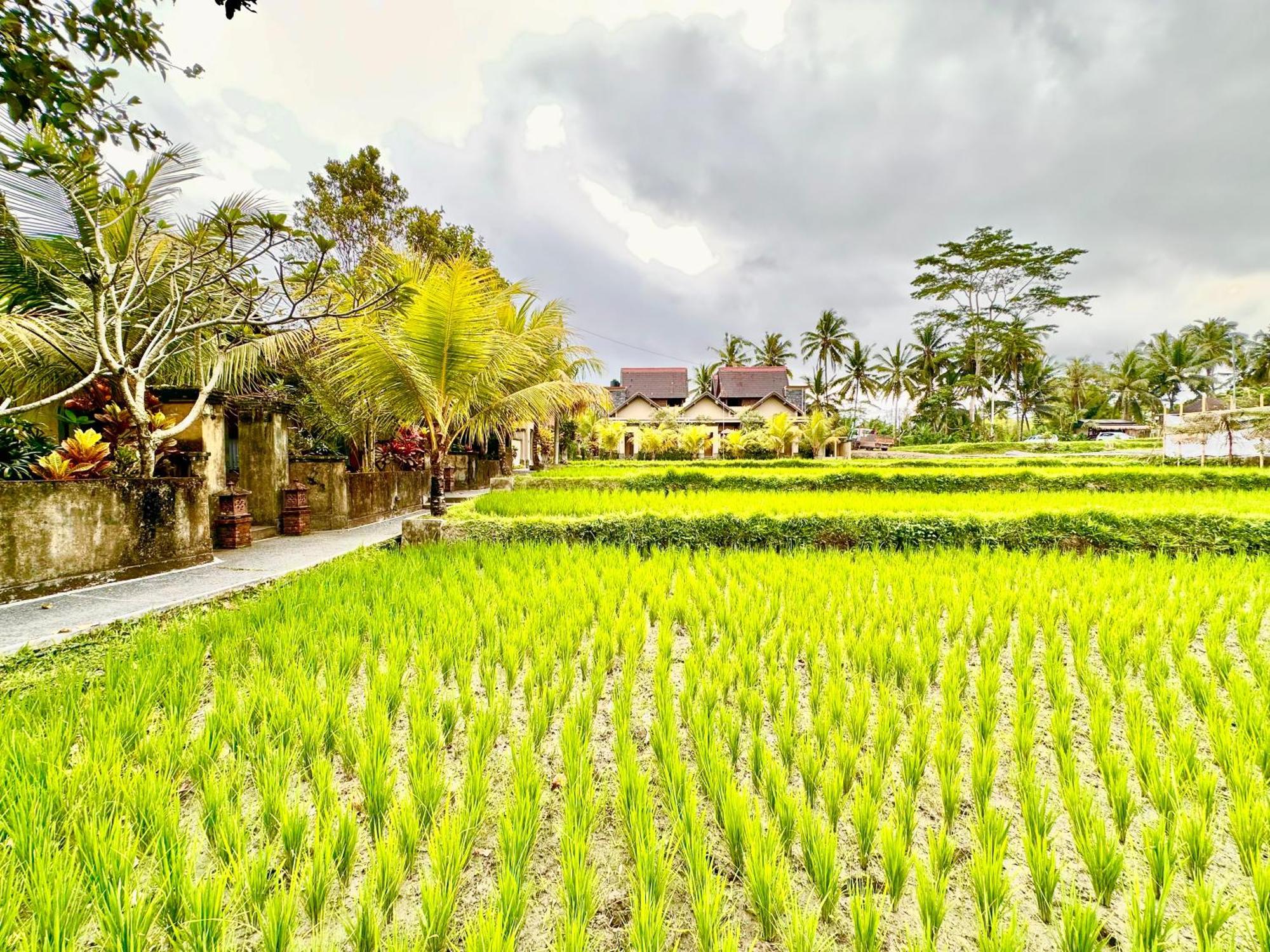 Dupa Ubud מראה חיצוני תמונה