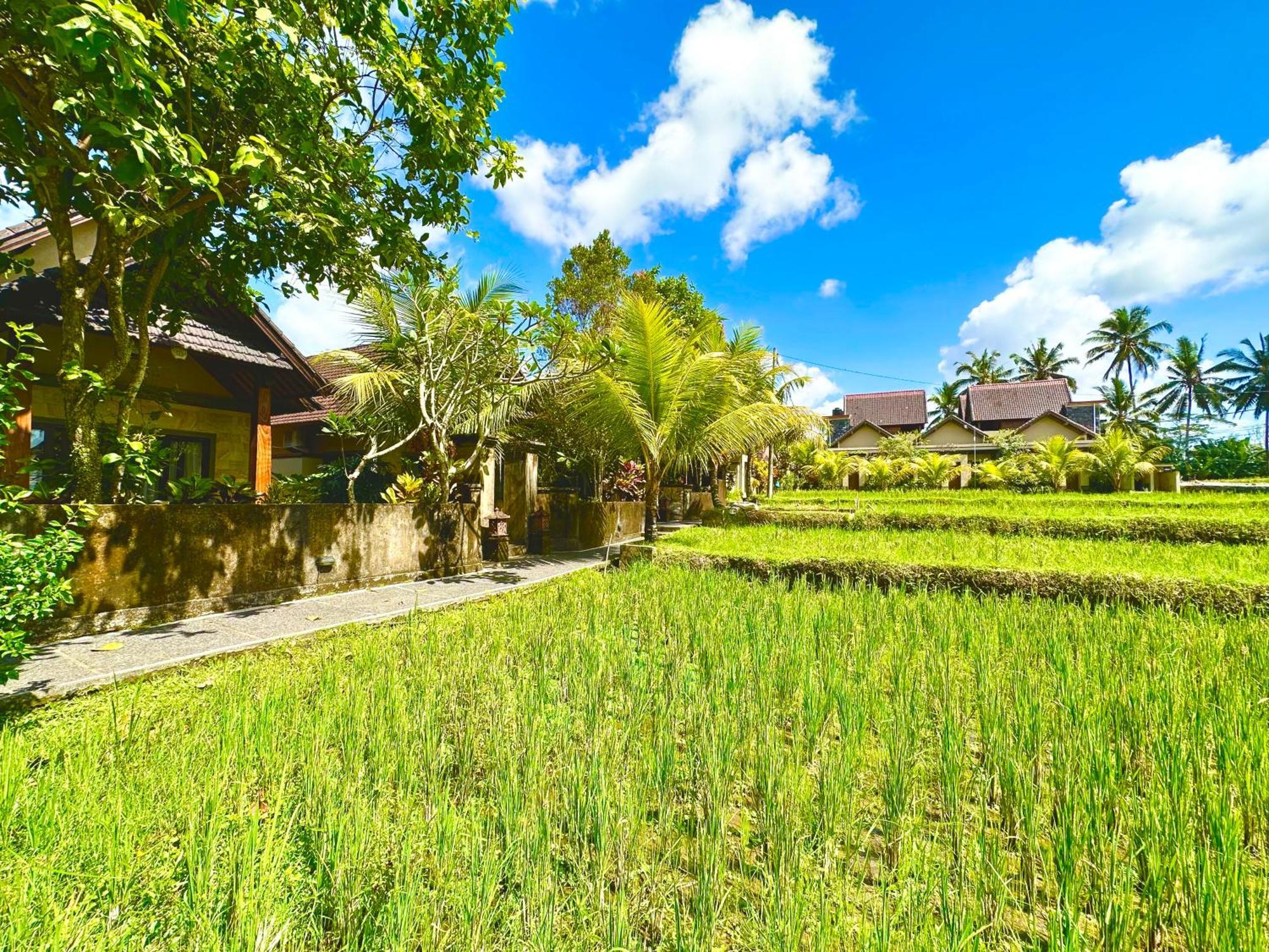 Dupa Ubud מראה חיצוני תמונה